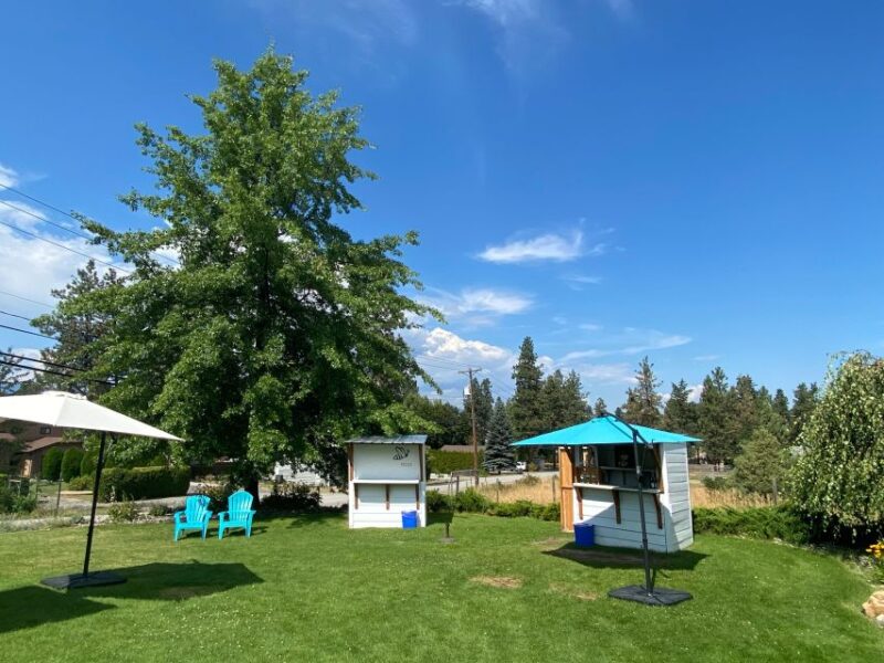 Kelowna: Wine Tasting by E-bike, Smartphone Guide & Lunch - Final Thoughts on the Kelowna Wine Tasting E-bike Tour
