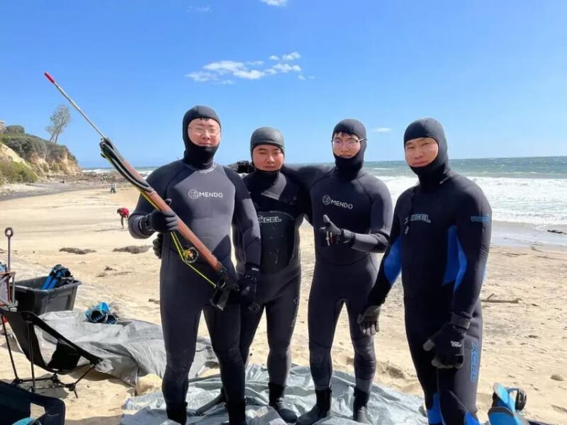 Kelp Forest Spearfishing Adventure - Who Will Most Enjoy This Tour?