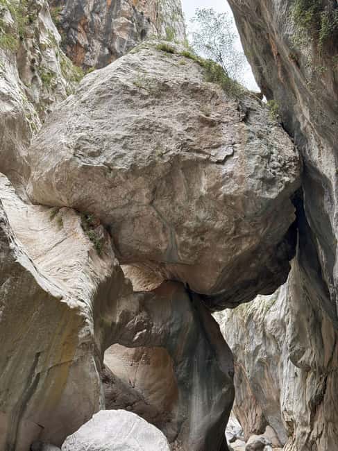 Kemer: Göynük Canyon Tour - Key Points