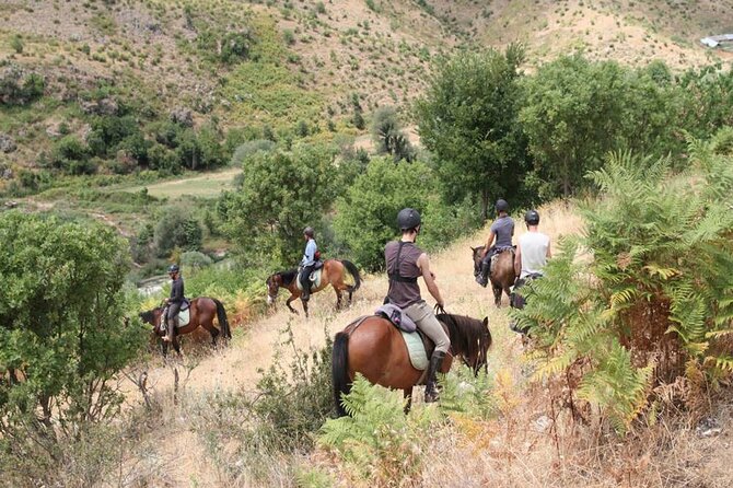 Kemer Horse Safari Experience With Free Hotel Transfer - Scenic Forest Trails Near Kemer