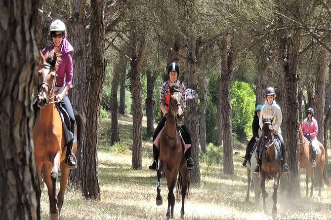 Kemer Horse Safari Experience With Free Hotel Transfer - The 1-Hour Horse Riding Experience