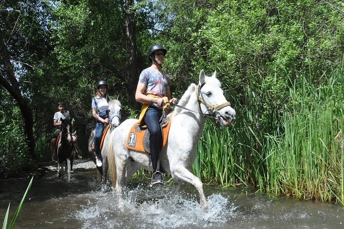Kemer Horse Safari Experience With Free Hotel Transfer - Physical Requirements and Suitability
