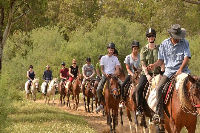 Kemer Horse Safari Experience With Free Hotel Transfer - Frequently Asked Questions