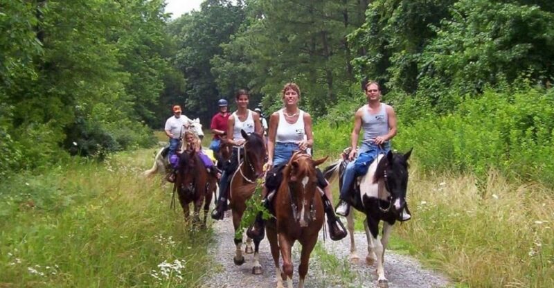 Kemer Horse Safari, pick up from Kiris, Beldibi, Goynuk - Suitable for All Skill Levels and Families