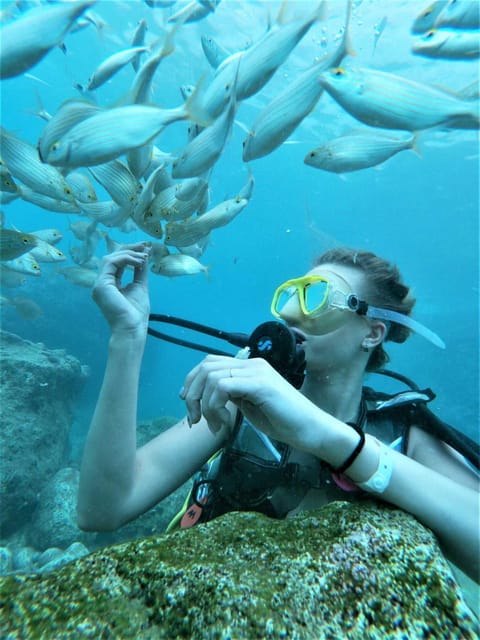 Kemer: Scuba Diving Experience in Aquarium and Kiris Bays - Key Points