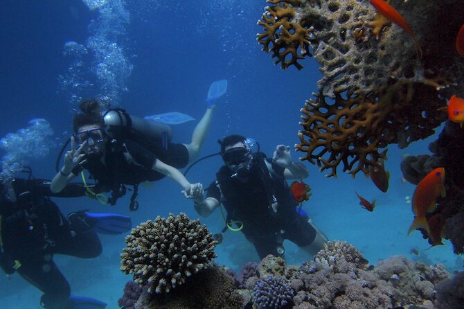 Kemer Scuba Diving Experience: Two Dives with Lunch - Lunch and Refreshments Included