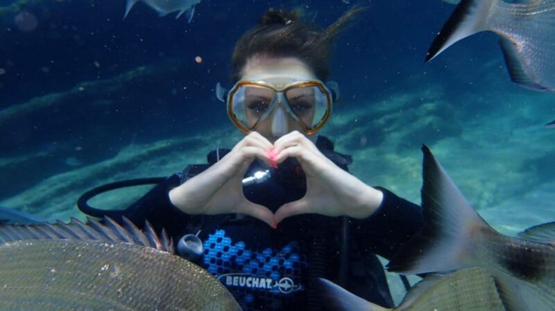 Kemer Scuba Diving - Preparing for the Underwater Excursion: Equipment and Briefings