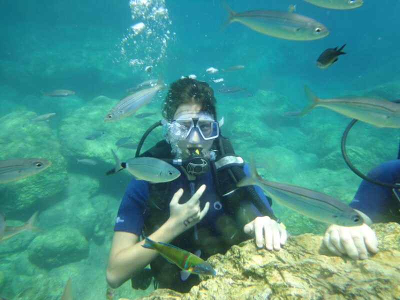 Kemer Scuba Diving - Exploring Kemer’s Underwater World: Marine Life and Sightings
