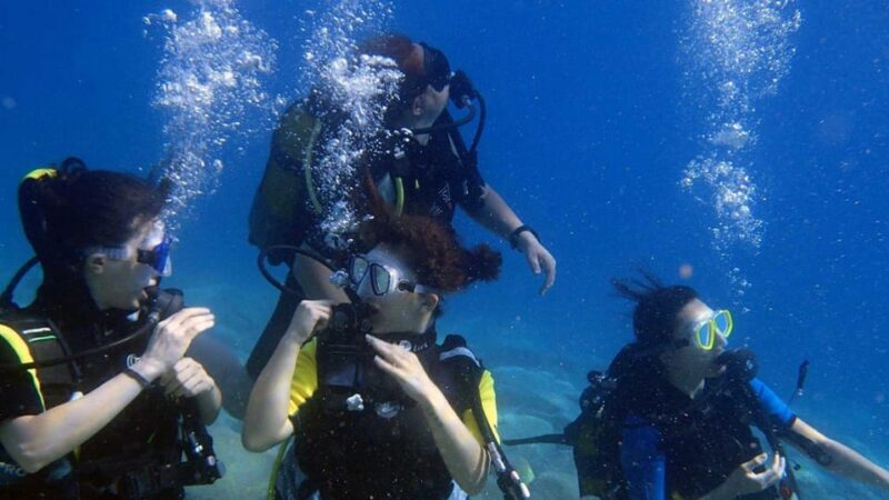 Kemer Scuba Diving with Expert Diving Option - Value for Money and Customer Feedback