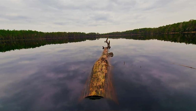 Kemeri N Park, Jurmala, Lake Melnezers & White Castle Hotel - Practical Details: Transport, Group Size, and Inclusions