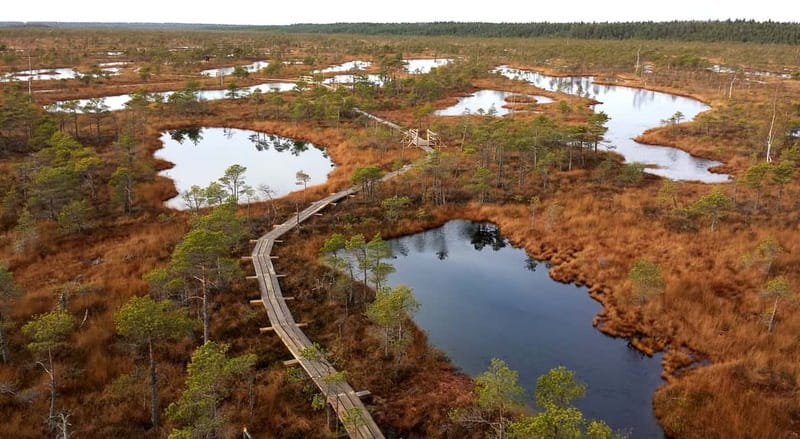 Kemeri National Park & Baltic Seaside Tour Bog Boardwalk - Kemeri National Park & Baltic Seaside Tour Bog Boardwalk: An Authentic Latvian Nature Experience