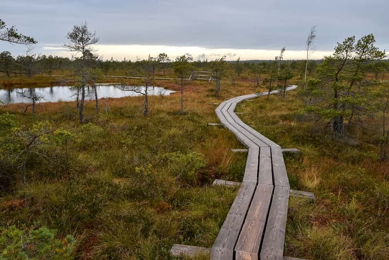 Kemeri National Park & Baltic Seaside Tour Bog Boardwalk - Practical Details: Logistics, Pacing, and Group Size