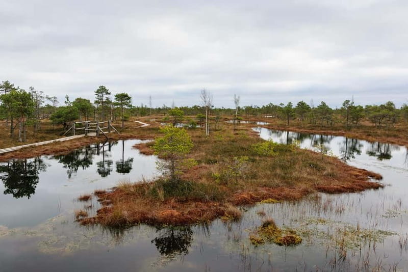 Kemeri National Park & Baltic Seaside Tour Bog Boardwalk - Value for Money and Booking Flexibility