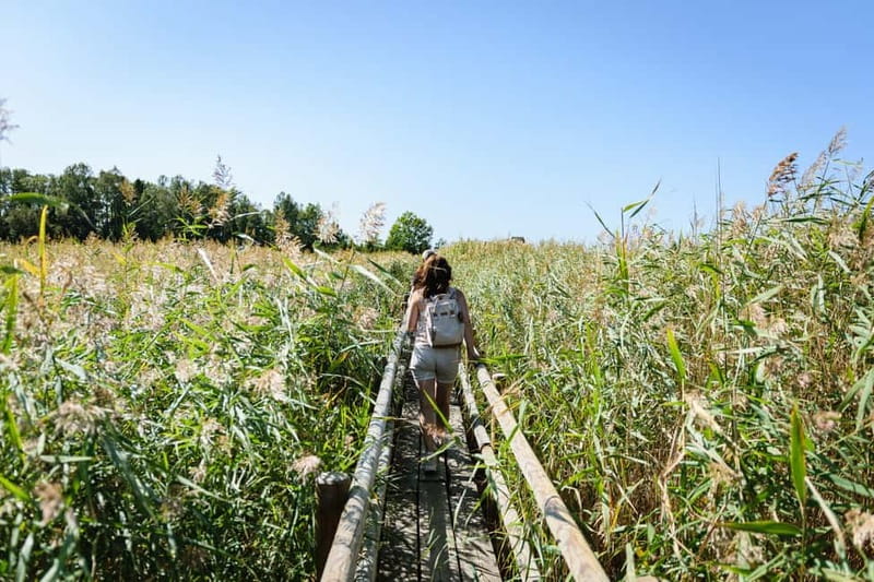 Kemeri National Park & Baltic Seaside Tour Bog Boardwalk - Why This Tour Stands Out