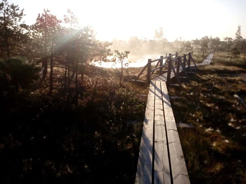 Kemeri National Park Bog Trail near Riga - Key Points