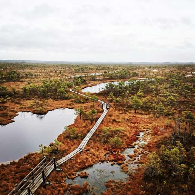 Kemeri National Park Bog Trail near Riga - The Scenic Drive and Hotel Pickup Convenience