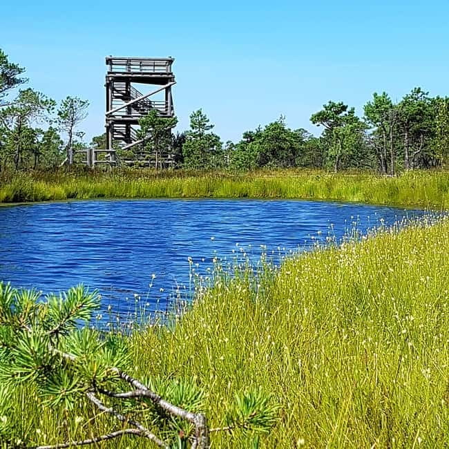 Kemeri National Park Bog Trail near Riga - Practical Information and Booking Flexibility