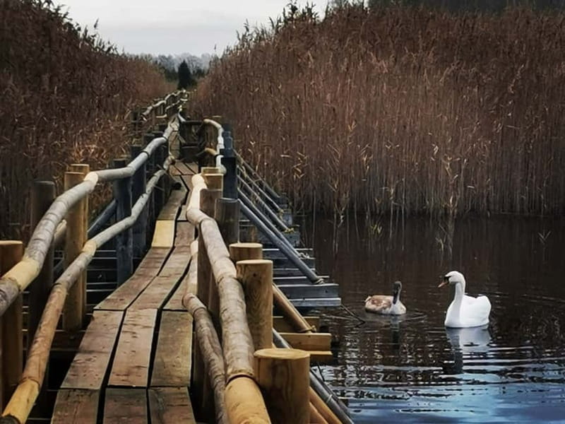 Kemeri National Park Outdoor Tour - Discovering the Sulfur Nature Trail and Copper-Colored Lake