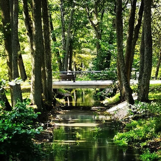 Kemeri National Park Outdoor Tour - The Guide’s Expertise and Guest Experience