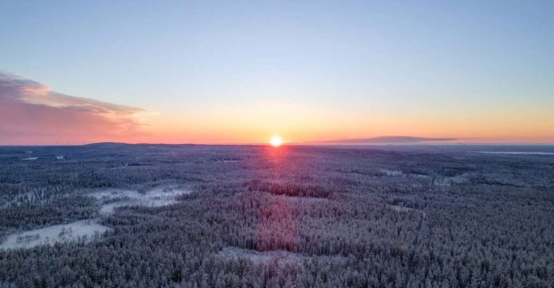 Kemi: Sled Dog Husky Safari Including Hot Drink - The Trail Through the Snowy Forest