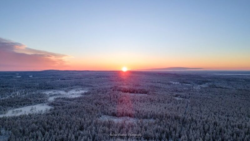 Kemi: Sled Dog Husky Safari Including Hot Drink - Weather Conditions and Cancellations