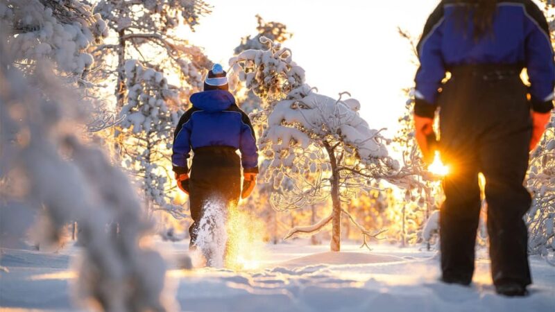 Kemi-Tornio: Nature tour with snowshoes - Experience the Arctic Wilderness on a Guided Snowshoe Trek in Kemi