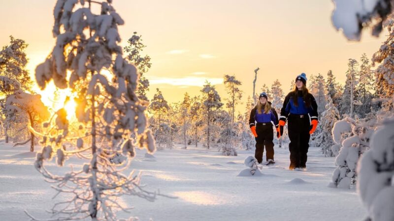 Kemi-Tornio: Nature tour with snowshoes - Key Points