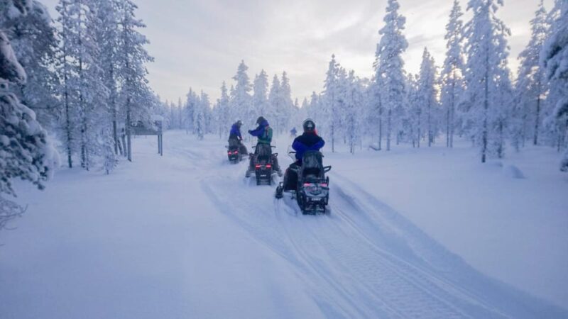 Kemi-Tornio: Snowmobile Forest Safari w/ Hot Drink & Snacks - Explore Lapland’s Snowy Forests and Frozen Sea on a Snowmobile Safari