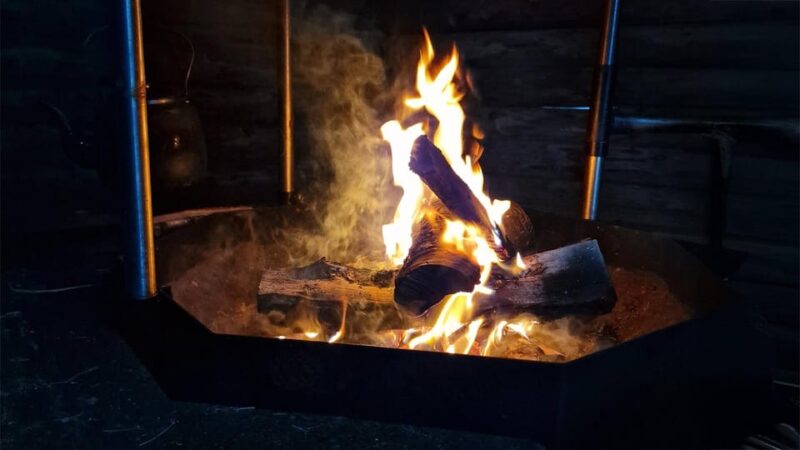 Kemi-Tornio: Snowmobile Forest Safari w/ Hot Drink & Snacks - Wildlife Tracking and Nature Learning Opportunities