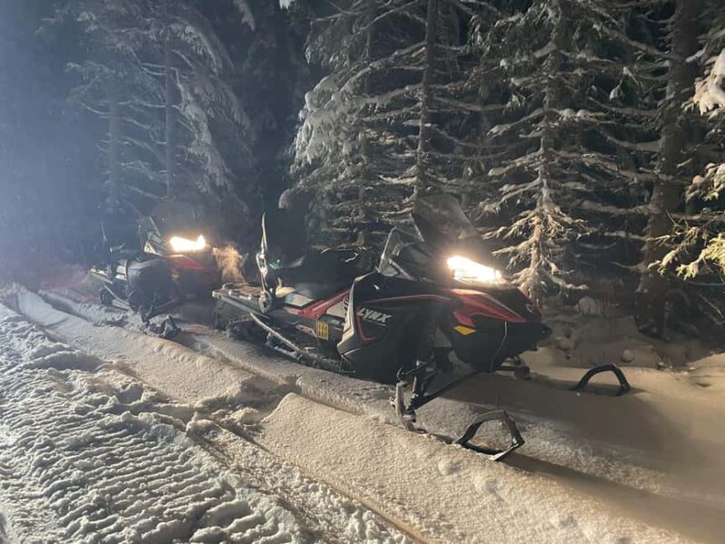 Kemi-Tornio: Snowmobile Safari Experience - Practical Tips for a Comfortable Snowmobile Safari