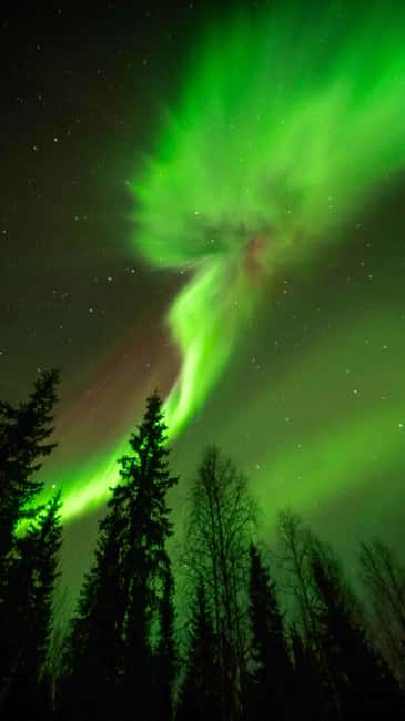 Kemijärvi: Insider Guided Aurora Hunting - Kemijärvi: Insider Guided Aurora Hunting – a Cozy Chase for the Northern Lights