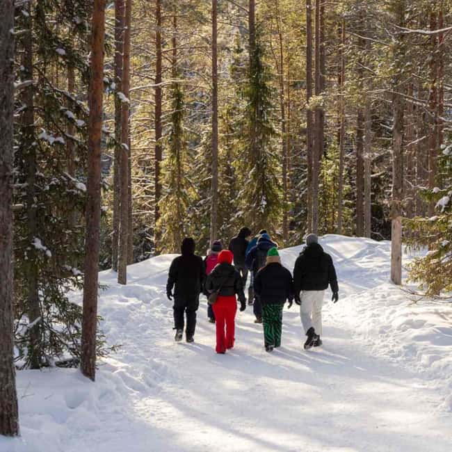 Kemijärvi: Insider Korouoma Frozen Waterfalls Hike - Expert Guides and Route Selection