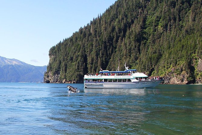 Kenai Fjords National Park Glacier & Wildlife Tour from Seward - Onboard Lunch and Additional Amenities