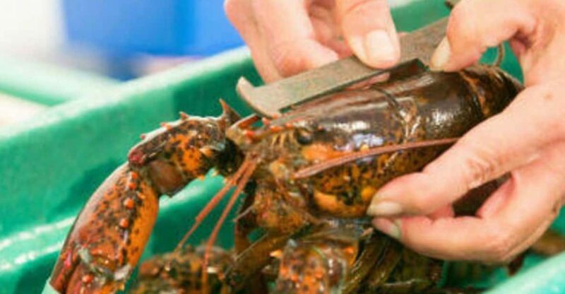 Kennebunkport, Maine: Lunchtime Culinary Walking Tour - Learning About Kennebunkport’s Maritime Heritage