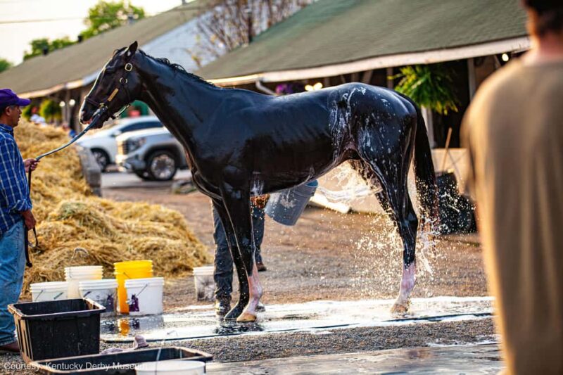 Kentucky Derby Museum - Admission with Guided Track Visit - Tour Logistics and Practical Tips