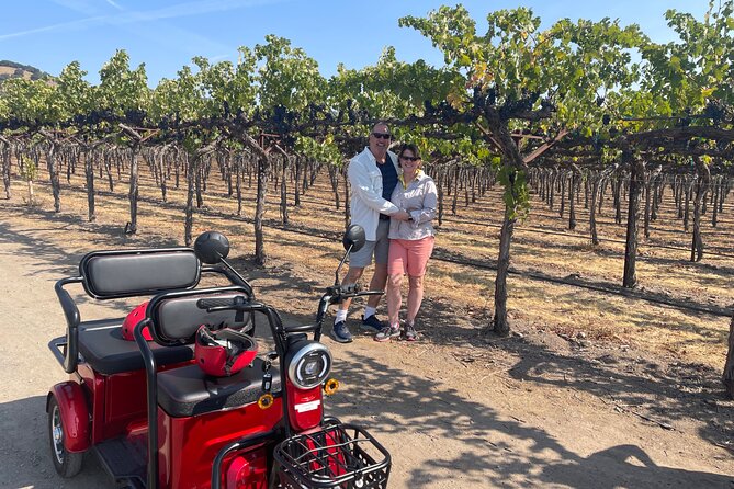 Kenwood Wine Country Electric Trike 3 Hours Tour - Explore Sonoma County’s Beauty on a 3-Hour Electric Trike Tour in Kenwood