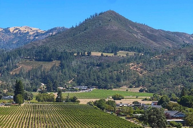 Kenwood Wine Country Electric Trike 3 Hours Tour - Scenic Ride Through Kenwood’s Charm