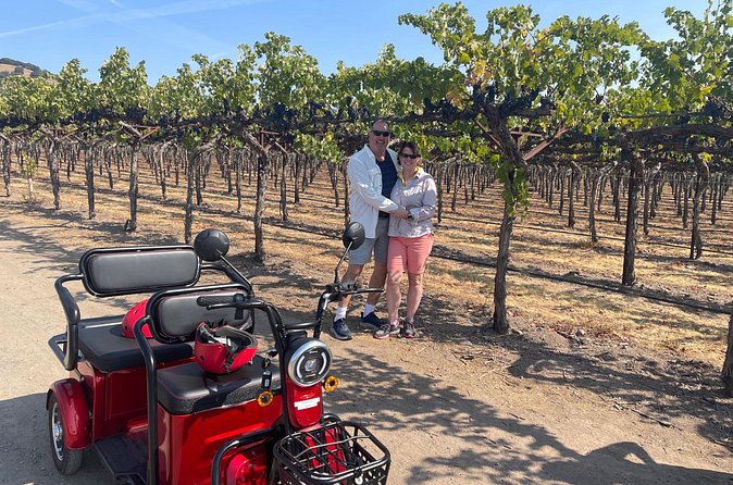 Kenwood Wine Country Electric Trike 3 Hours Tour - Gourmet Charcuterie Board Included in the Tour