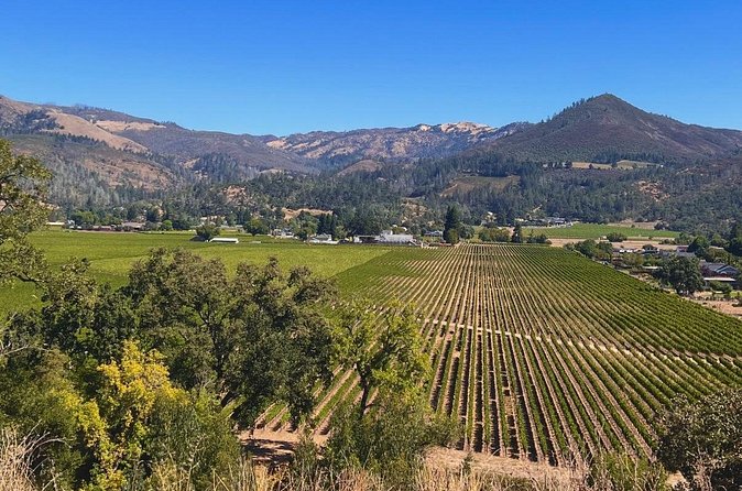 Kenwood Wine Country Electric Trike 3 Hours Tour - Practical Information for Booking and Cancellation