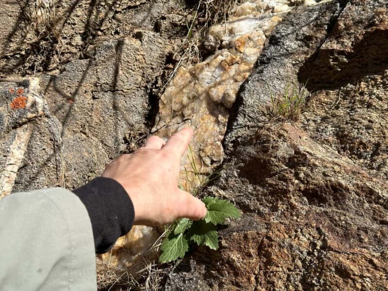 Kern County: Gold Panning Experience - What the Tour Includes and Excludes