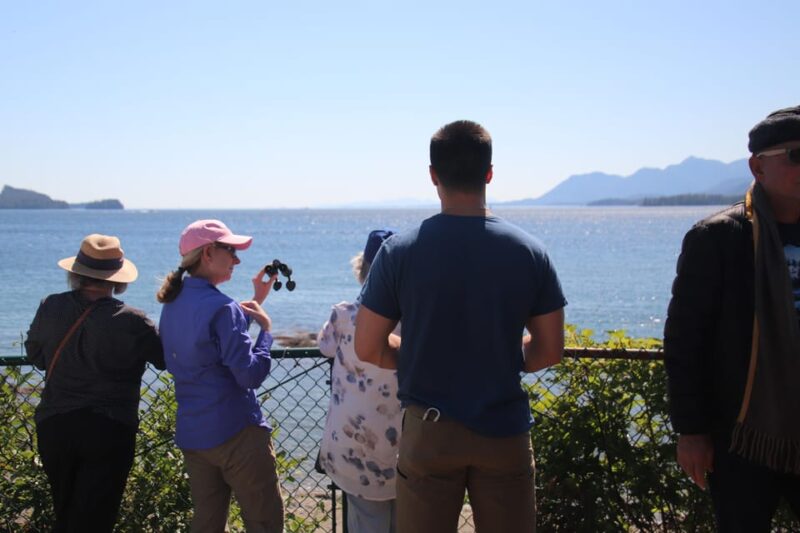 Ketchikan: Alaska Native Cultural and Scenic Shore Excursion - The Native Cultural Heritage at the Totem Heritage Center