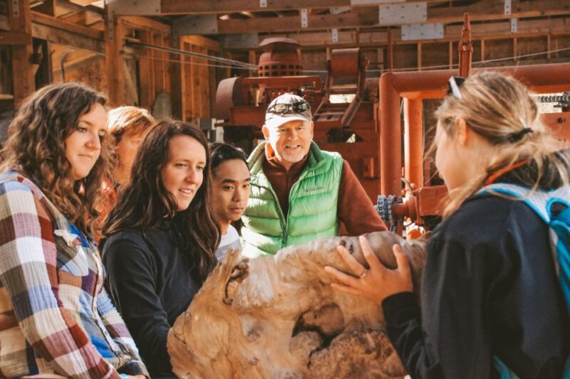 Ketchikan: Alaska Rainforest Sanctuary and Totem Park Walk - Wildlife Sightings and Seasonal Variations