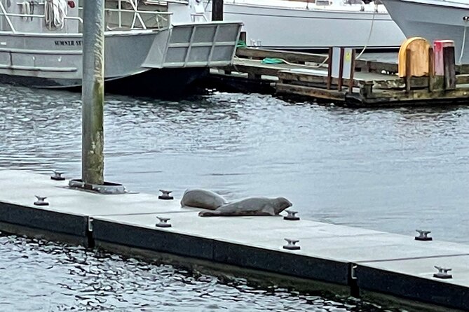 Ketchikan Duck Tour - Wildlife and Scenic Spotting Opportunities