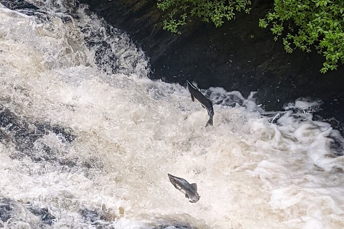Ketchikan Duck Tour - The Guide: Knowledgeable and Entertaining