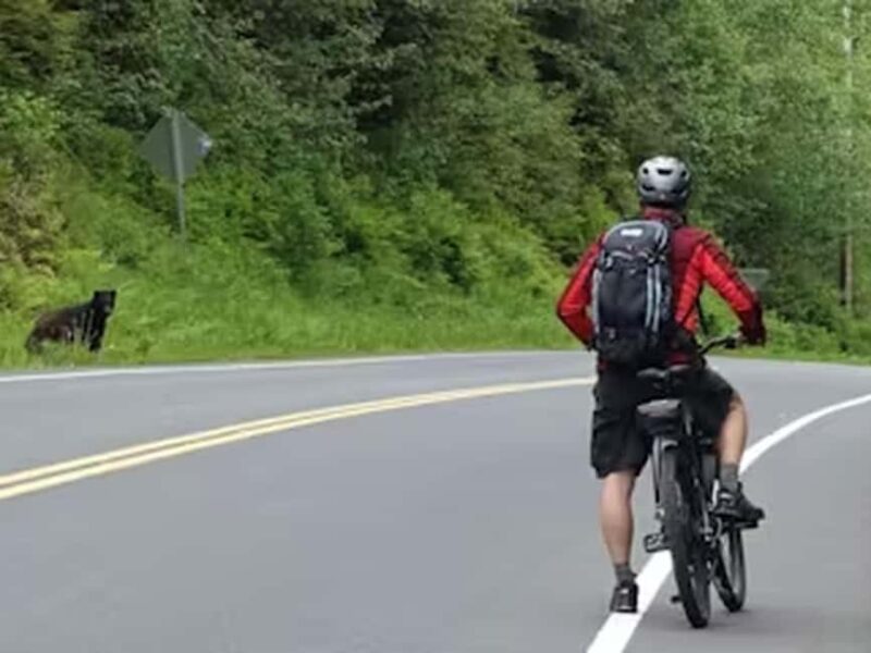 Ketchikan: E-Bike and Hike Tour - Key Points