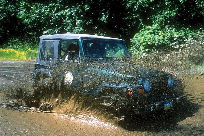 Ketchikan Jeep and Canoe Safari - Reaching Lake Harriet Hunt in a Traditional Canoe