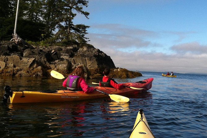 Ketchikan Kayak Eco-Tour - Food, Refreshments, and Post-Tour Relaxation