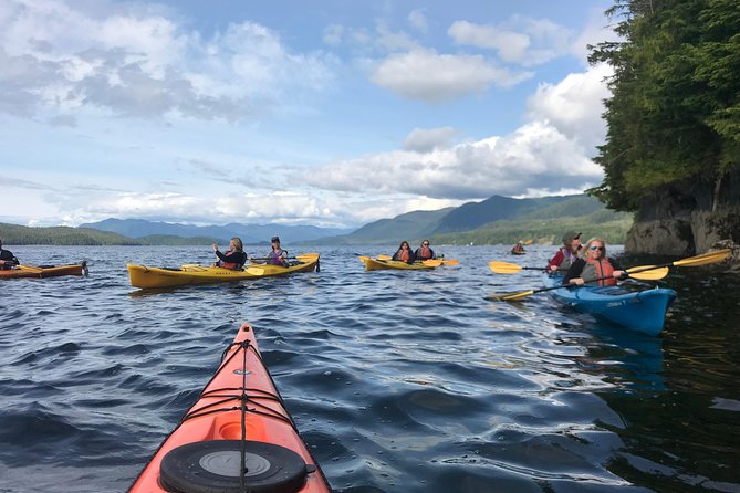 Ketchikan Kayak Eco-Tour - Flexibility, Private Tours, and Family-Friendly Options