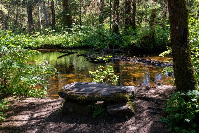 Ketchikan Magical Old-Growth Creek Trek Guided Tour - What’s Included and What to Expect