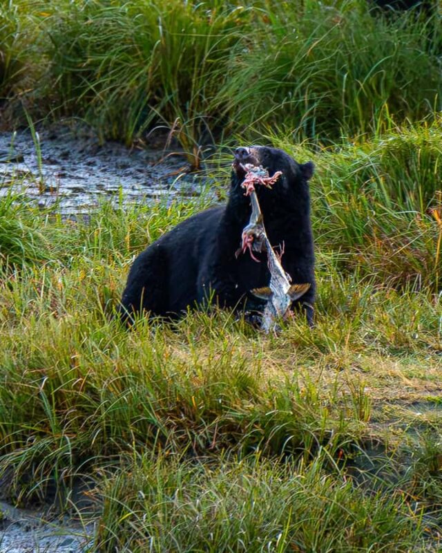 Ketchikan: Private Customizable Boat Tour with Captain Jack - The Fully Customizable Itinerary with Captain Jack